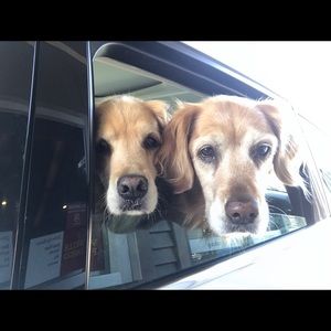 Meet your Posher, Debbie